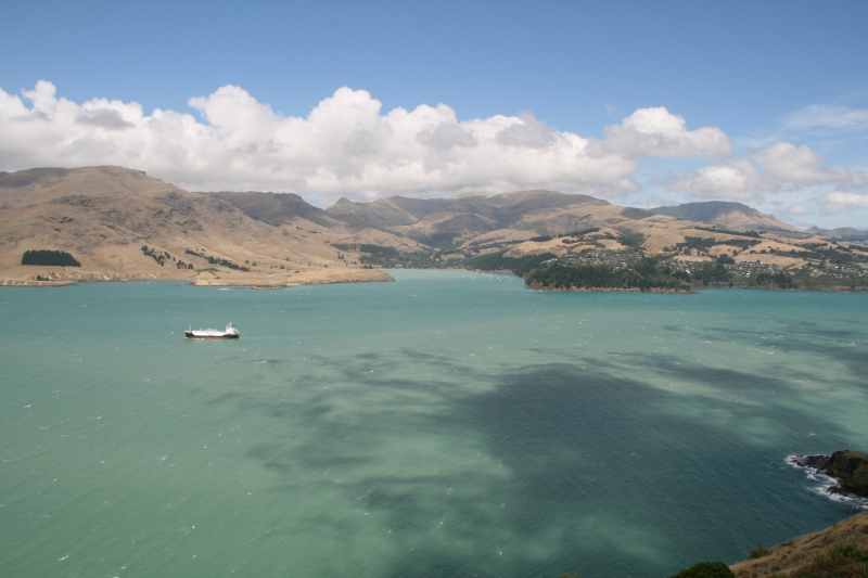 Nieuw-Zeeland 2011 - 2140